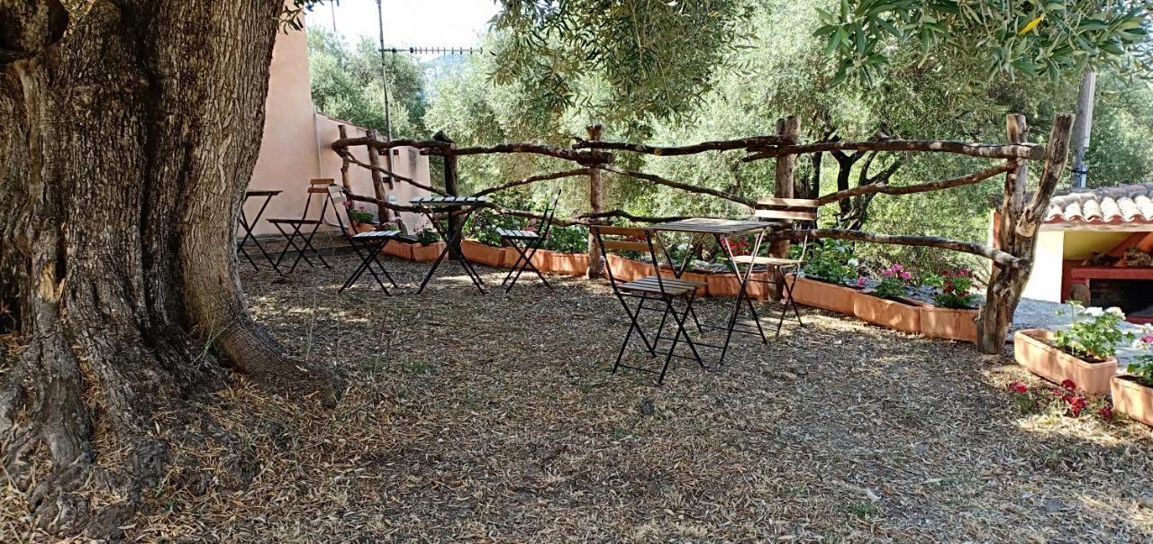 فيلا Agriturismo Muristene دورغالي المظهر الخارجي الصورة